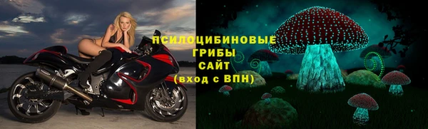 ешки Нея