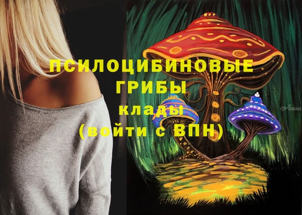 ешки Нея